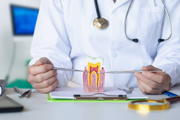 Best Broken or Cracked Tooth Emergency Dentist in Fox River Grove, IL
